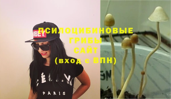 таблы Алзамай